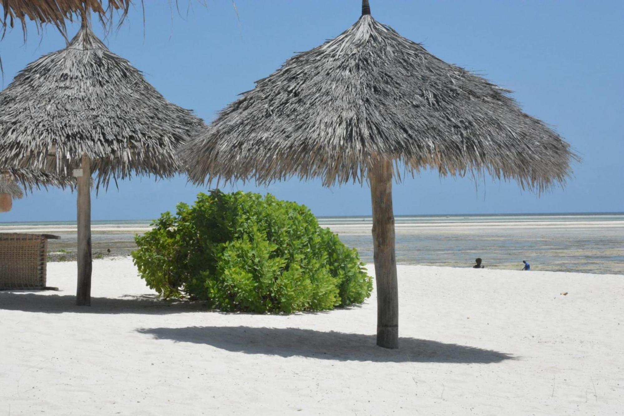 וואטאמו Pole Pole Beach House מראה חיצוני תמונה