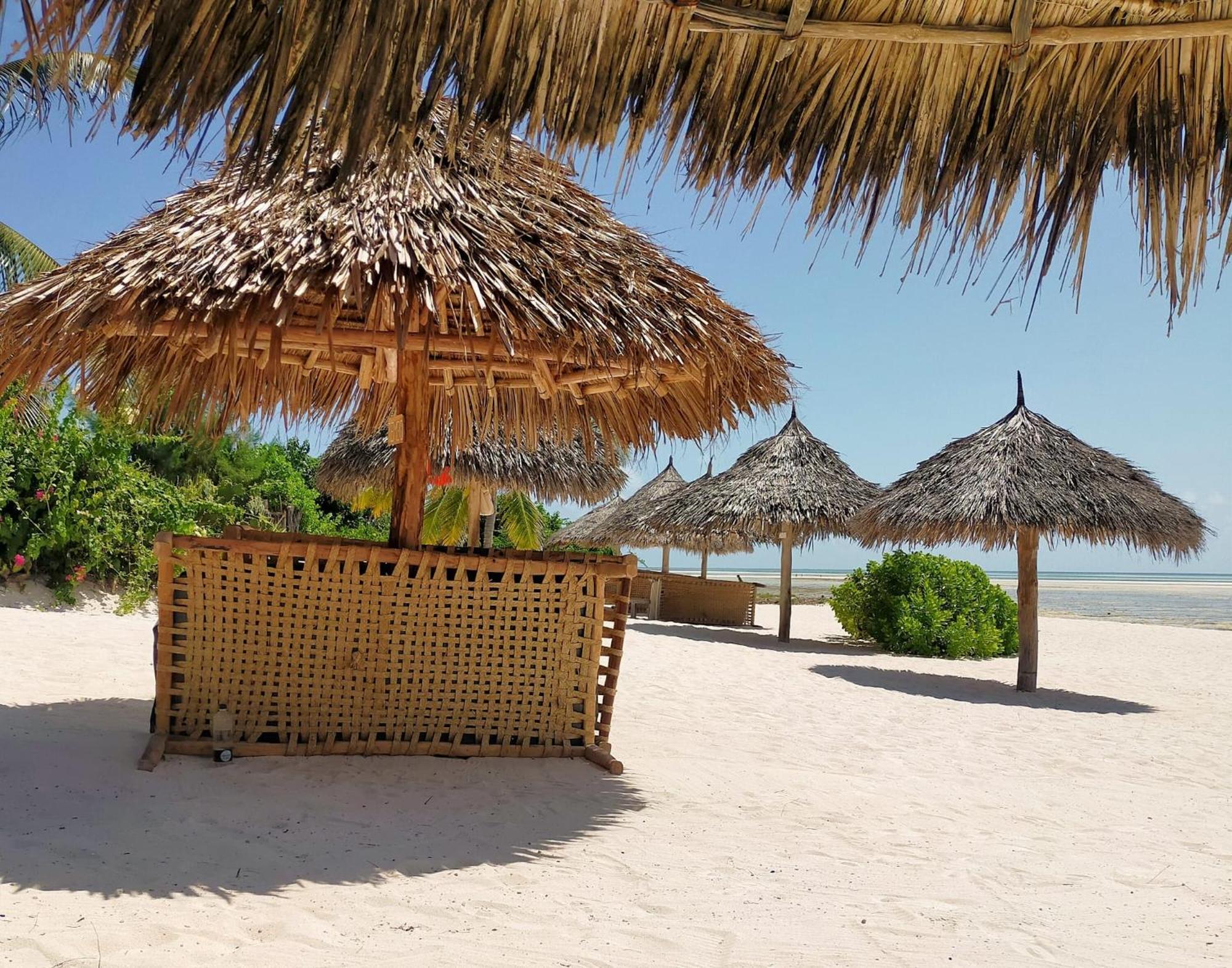 וואטאמו Pole Pole Beach House מראה חיצוני תמונה